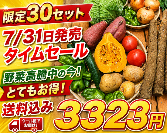 【タイムセール】7/31訳アリ野菜3323円！（北海道と九州の方）※送料込み※