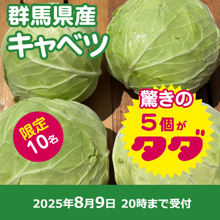 【プレゼント】キャベツ5個