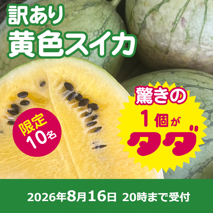 【プレゼント】規格外スイカ