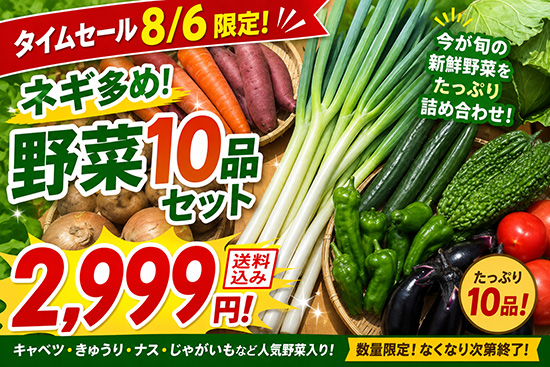 【ねぎ多め】8/6訳アリ野菜2999円！（本州と四国の方）※送料込み※