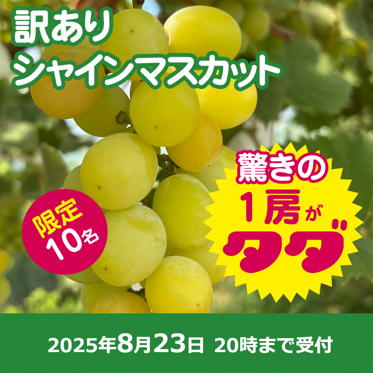 【プレゼント】シャインマスカット