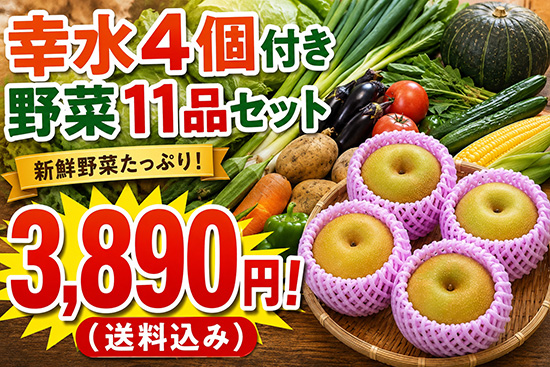 【幸水4個付き】野菜セット3890円！（本州と四国の方）※送料込み※