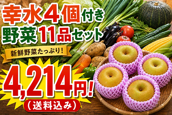 【幸水4個付き】野菜セット3890円！（北海道と九州の方）※送料込み※