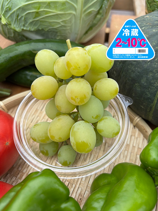 【特売】シャインマスカット付き野菜11種（本州と四国の方）※クール便送料込み※100サイズ満タン