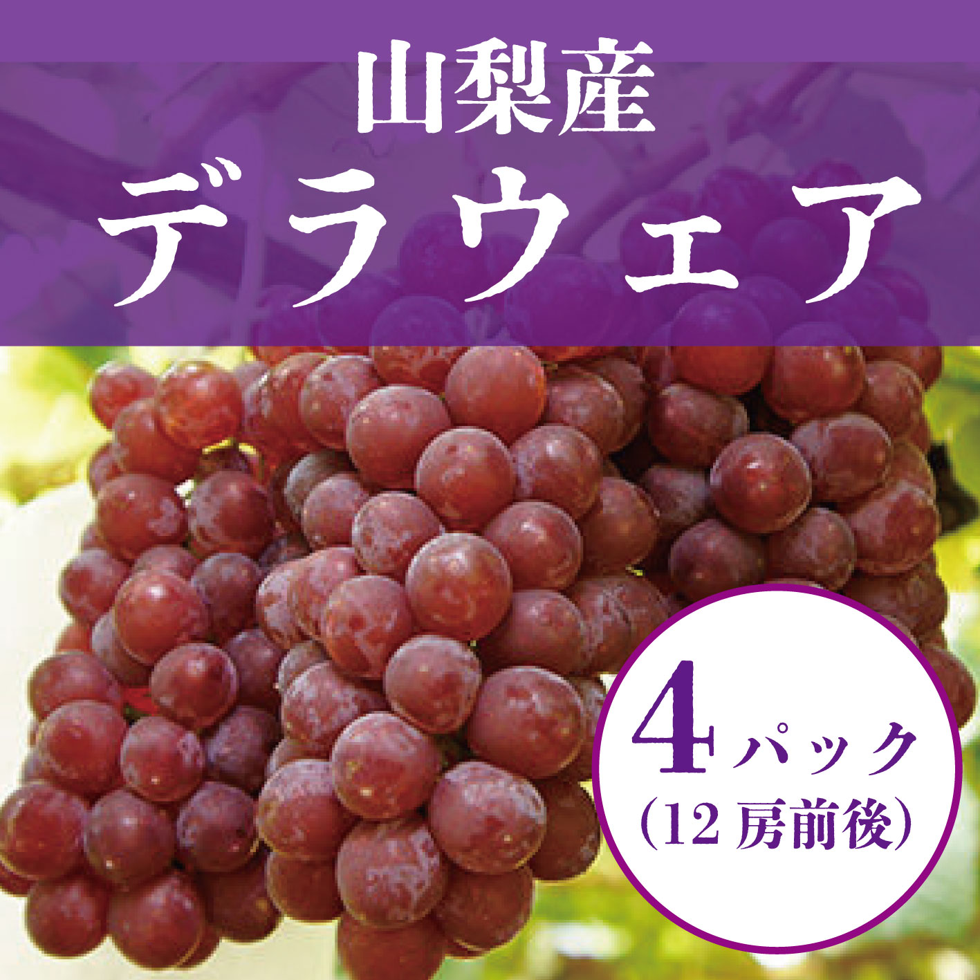 【山梨県産デラウェア　たっぷり４パック（12房）詰め合わせ】大人気果物！ブランド産地！