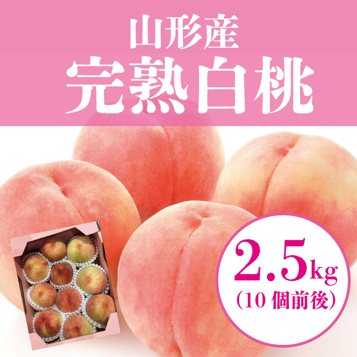 【山形県産白桃　たっぷり2.5㎏（10個前後）詰め合わせ】大人気果物！ブランド産地！