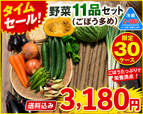 【タイムセール8/15】ごぼう多め野菜11品セット※クール便※（本州と四国の方）