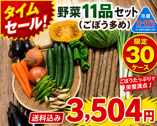 【タイムセール8/15】ごぼう多め野菜11品セット※クール便※（北海道と九州の方）