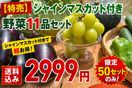 【特売】シャインマスカット付き野菜11品セット（本州と四国の方）※送料込み※