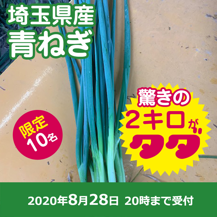 【プレゼント】青ネギ2キロ