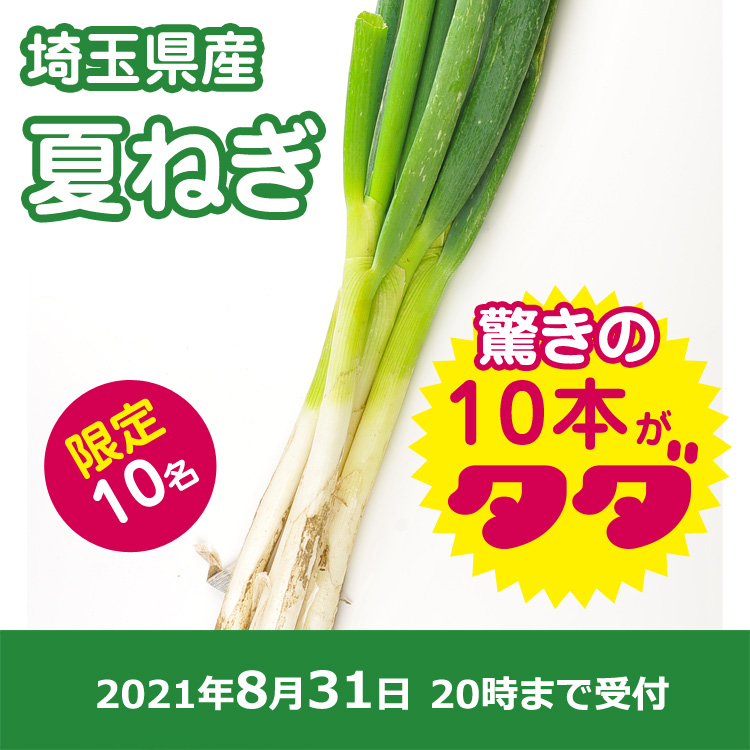 【プレゼント】夏ネギ10本