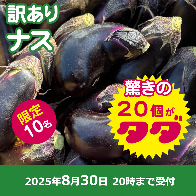 【プレゼント】規格外ナス