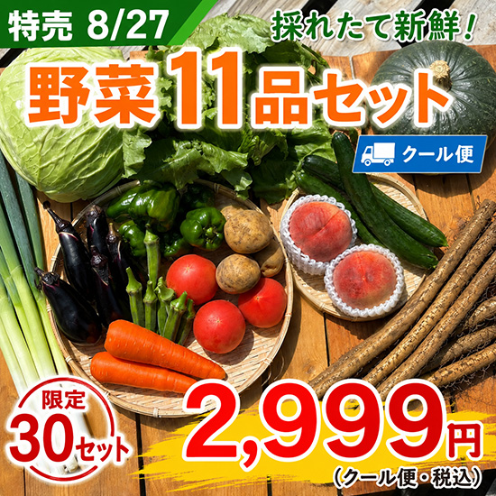 【特売8/27】野菜11品セット（本州と四国の方）※クール送料込み※
