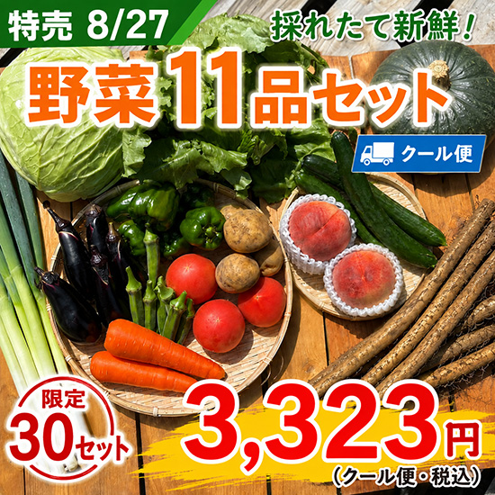 【特売8/27】野菜11品セット（北海道と九州の方）※クール送料込み※
