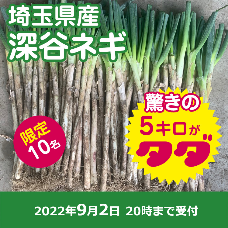【プレゼント】深谷ネギ