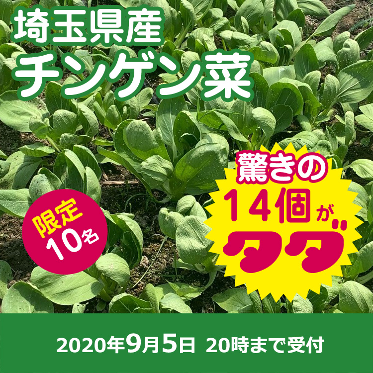 【プレゼント】チンゲン菜14個