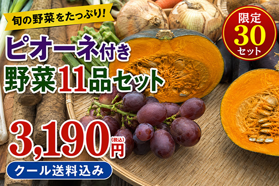 【ピオーネ付き】野菜11品セット※クール便※（本州と四国の方）