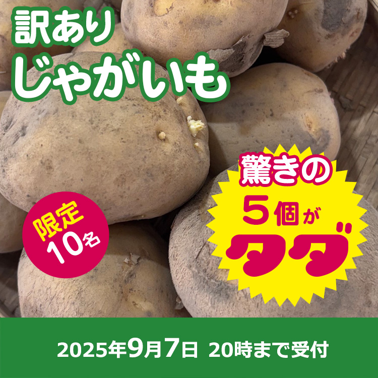 【プレゼント】訳ありじゃがいも