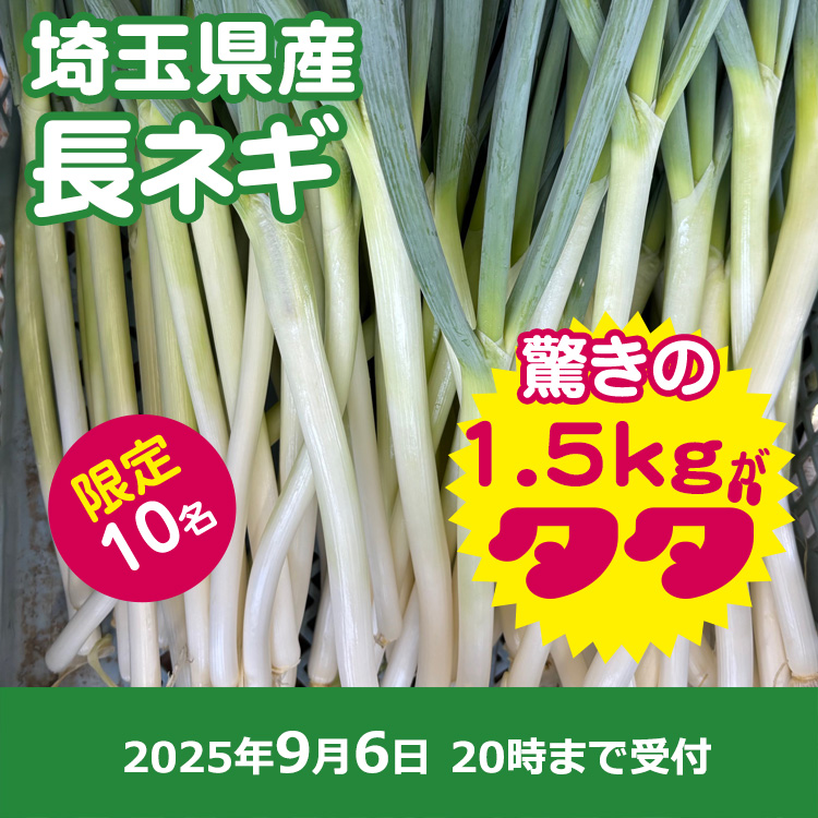 【プレゼント】長ネギ1.5キロ