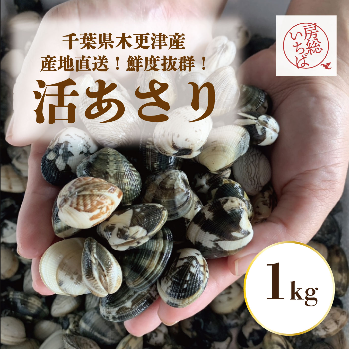 【活!木更津産!砂抜き済みアサリ!1㎏!鮮度抜群!産地直送!】産直