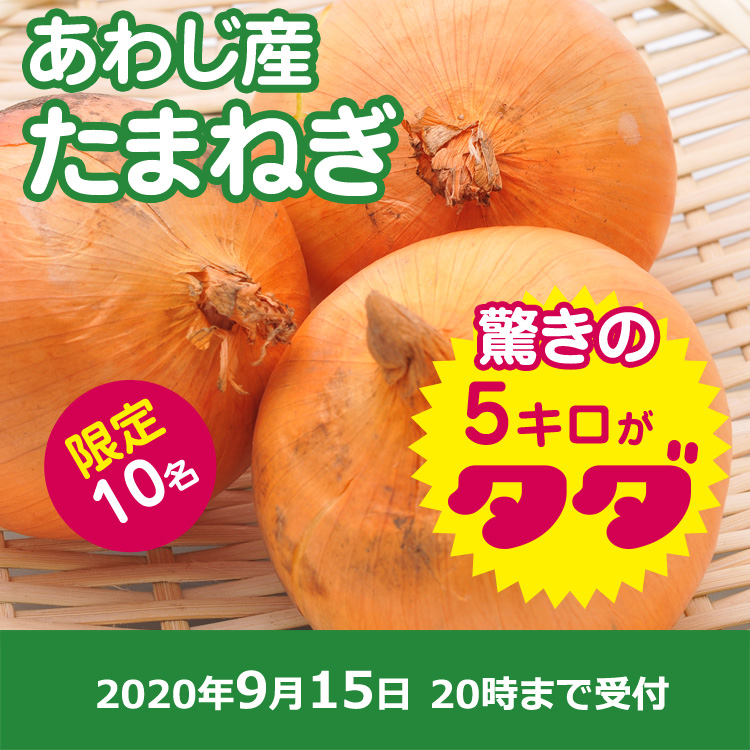【KR.~Vegetable~ご提供】規格外タマネギ5キロ