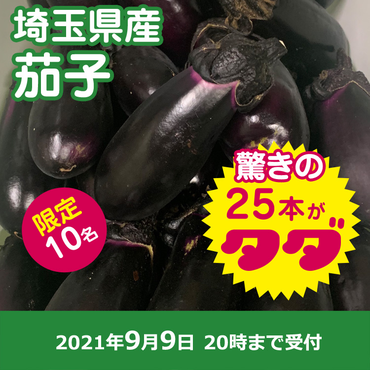【プレゼント】ナス25本