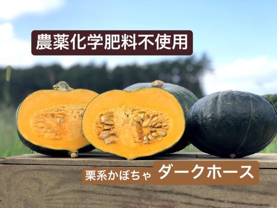 【訳あり】農薬化学肥料不使用栗系かぼちゃ 10㎏（北海道、東北、関東、信越、北陸、中部、関西の方限定）
