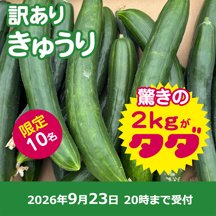 【プレゼント】規格外きゅうり