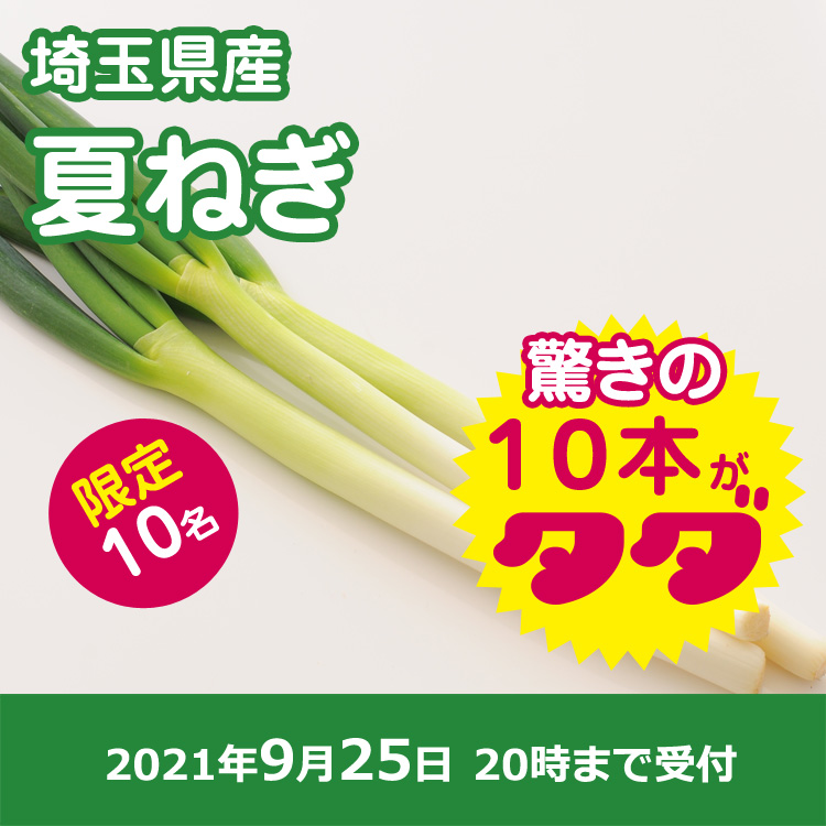 【プレゼント】夏ネギ10本