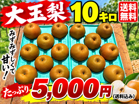 【秀品】梨10kg（新高）