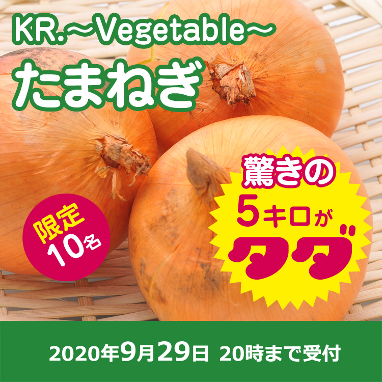 【KR.~Vegetable~ご提供】規格外タマネギ5キロ