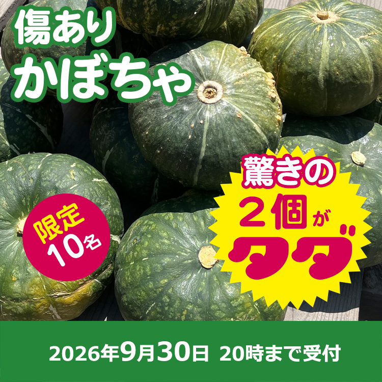 【プレゼント】傷ありかぼちゃ