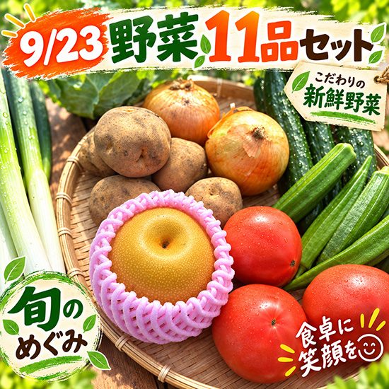 【9/22タイムセール】旬の野菜11品セット（本州と四国の方）※クール送料込み※