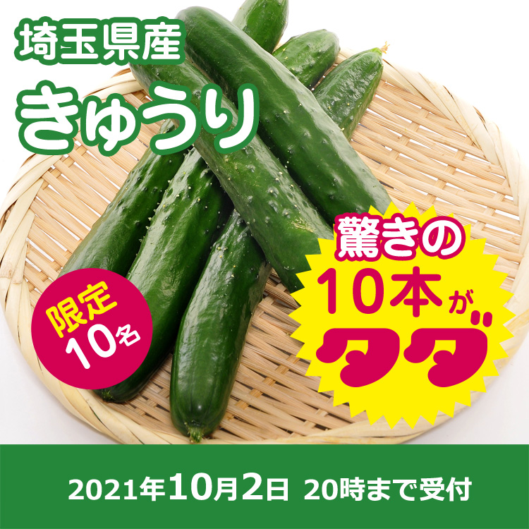 【プレゼント】きゅうり10本