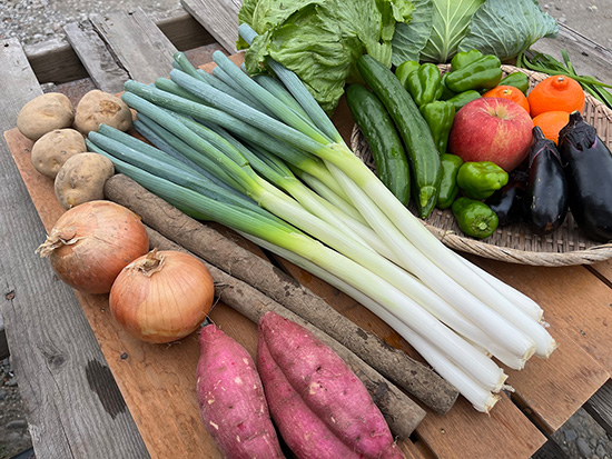 【ネギ10本付き】訳アリ野菜11種（本州と四国の方）※送料込み※