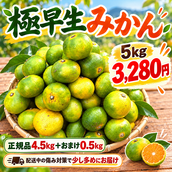 【極早生】みかん5キロ※全国送料込み※