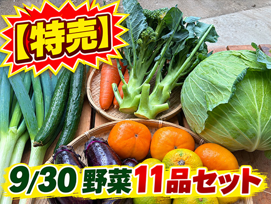 【特売9/30】野菜11品セット（北海道と九州の方）※送料込み※