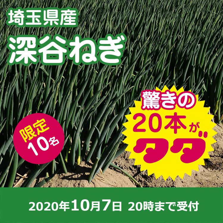 【プレゼント】深谷ネギ20本
