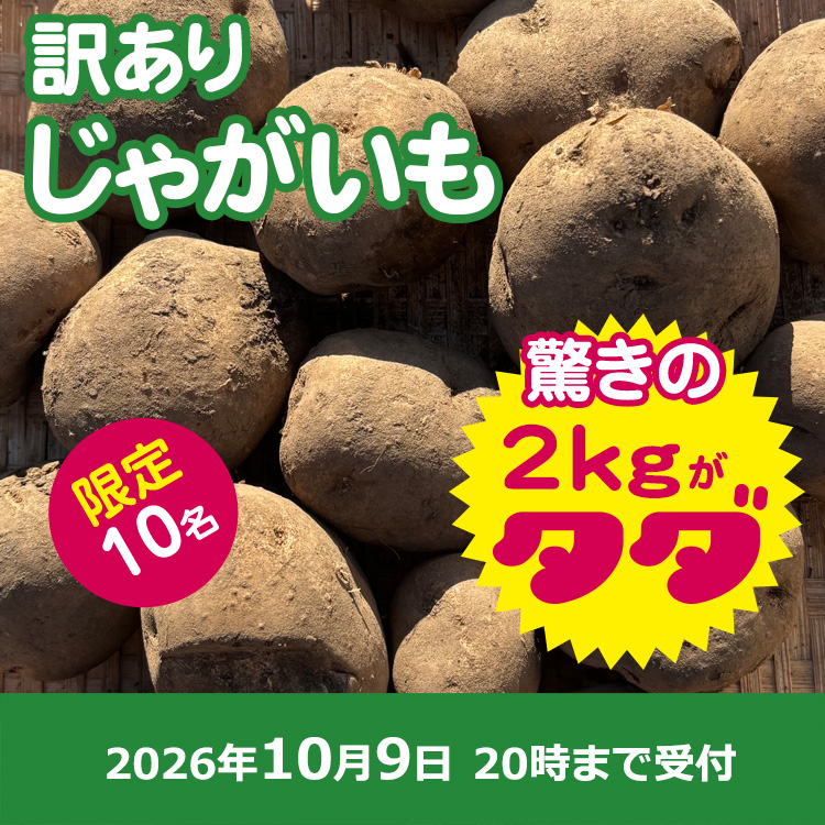 タダヤサイ / 【プレゼント】わけありじゃがいも