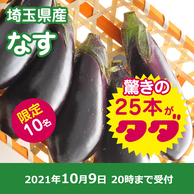 【プレゼント】ナス25本