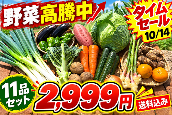 【タイムセール】10/14訳アリ野菜2999円！（本州と四国の方）※送料込み※