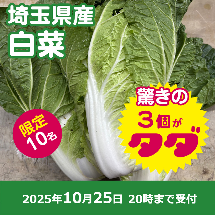 【プレゼント】白菜3個