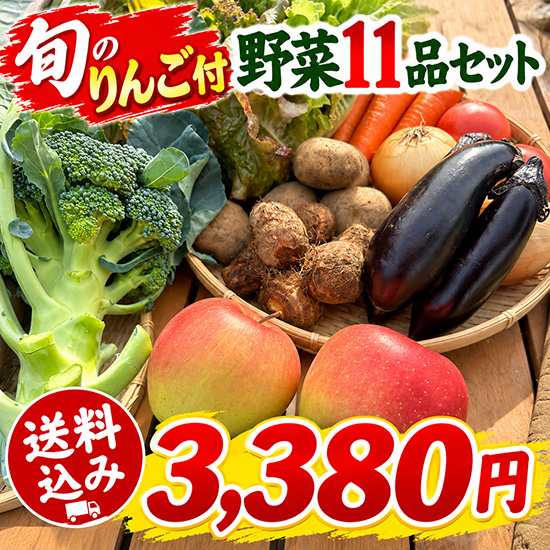 【りんご付】野菜11品セット（本州と四国の方）※送料込み※