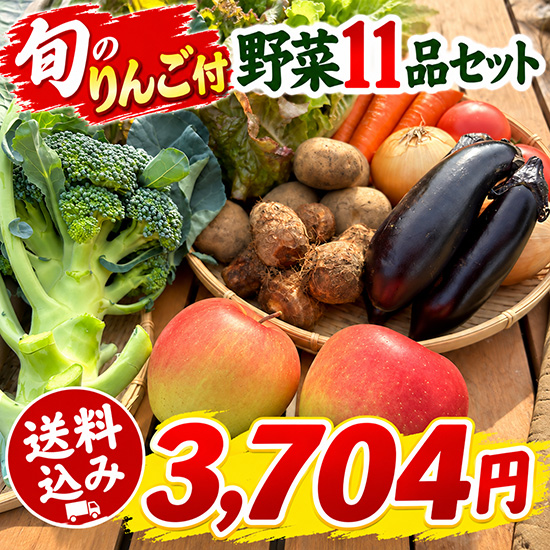 【りんご付】野菜11品セット（北海道と九州の方）※送料込み※