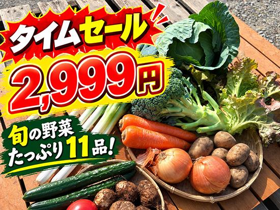 【特売10/23】野菜11品セット（本州と四国の方）※送料込み※
