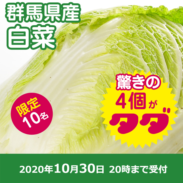 【プレゼント】白菜4個