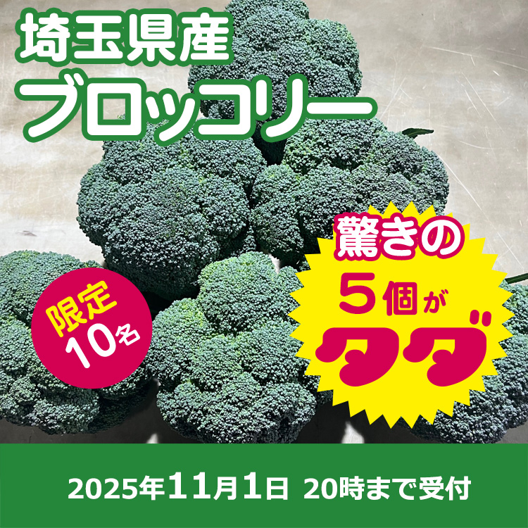 【プレゼント】ブロッコリー