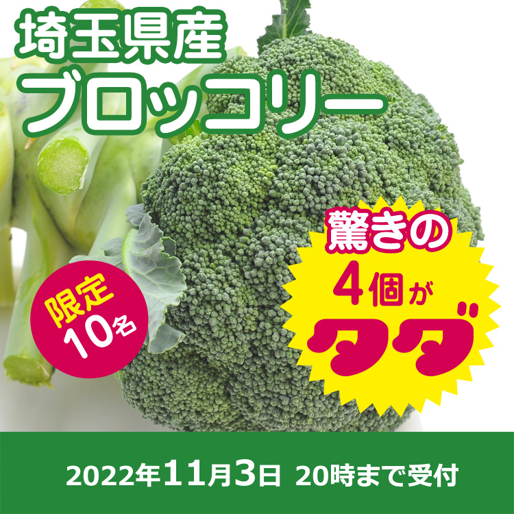 【プレゼント】ブロッコリー