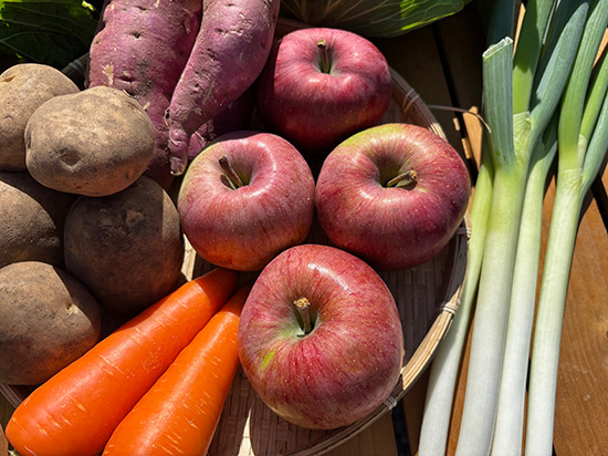 【りんご4個付】野菜12種（北海道と九州の方）※送料込み※