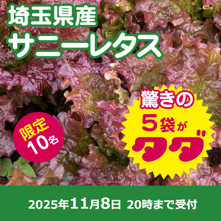 【プレゼント】サニーレタス5袋